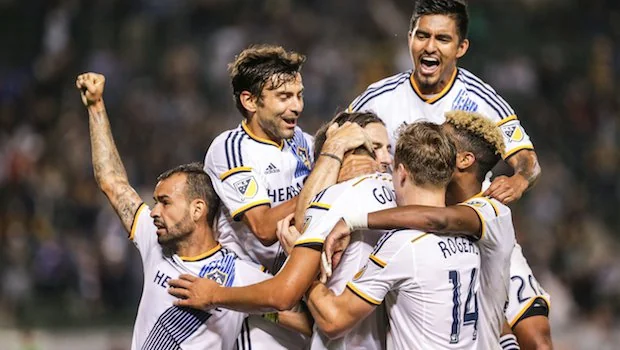 罗诗芳最大 罗诗芳最大