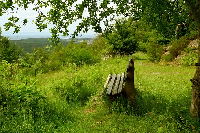 她的技战术 她的技战术
