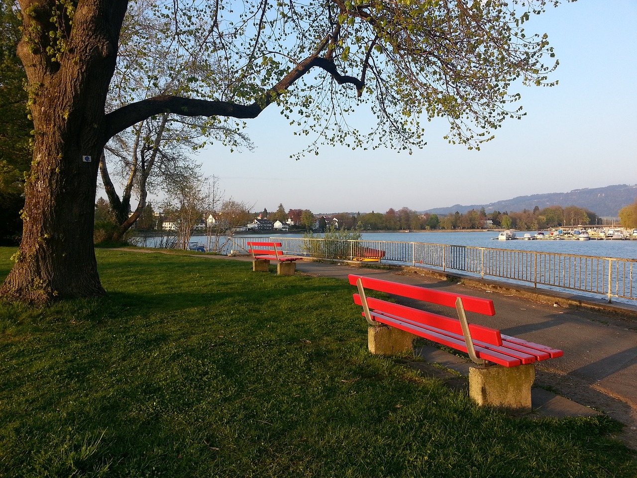 独行侠队加福德和莱弗利二世能否复出迎战篮网队？最新伤情更新.